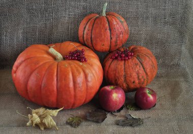 Kırmızı Rowan üzümlü elmalı balkabakları ve hasat festivalinde sonbahar yaprakları