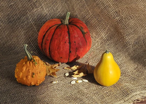 Wunderschöne Orangefarbene Und Gelbe Kürbisse Auf Geflochtenem Hintergrund Herbstlaub Beim — Stockfoto