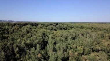 Drone, balıkçı ağları olan nehrin üstündeki orman Treetops üzerinde uçar. Eğer şehir görebilirsiniz mesafe. Açık bir güneşli yaz günü bir bulutsuz gökyüzü.