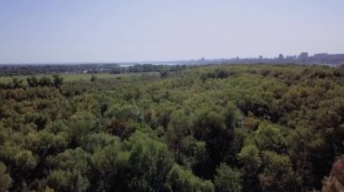 Drone ormanın üzerinde uçuyor. Soldaki bir bataklık ve araba geçen bir köprü, sağ uzak Nehrin ötesinde bir şehirdir. Açık bir güneşli yaz günü bir bulutsuz gökyüzü.