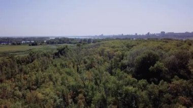 Drone ormanın üzerinde uçuyor. Soldaki bir bataklık ve araba geçen bir köprü, sağ uzak Nehrin ötesinde bir şehirdir. Açık bir güneşli yaz günü bir bulutsuz gökyüzü.