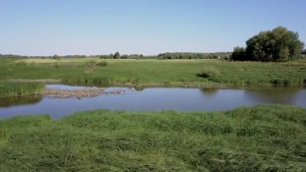 Étendue sur le drone au-dessus du champ, rivière, herbe, fleurs sauvages. Un inconnu se gratte la tête. Au loin, un pont est vu à travers lequel les voitures passent .