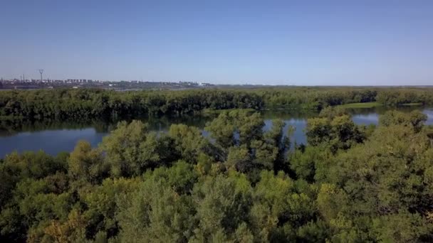 无人机飞越渔网上方的森林树梢 在远处你可以看到这座城市 晴朗阳光明媚的夏日 万里无云的天空 — 图库视频影像
