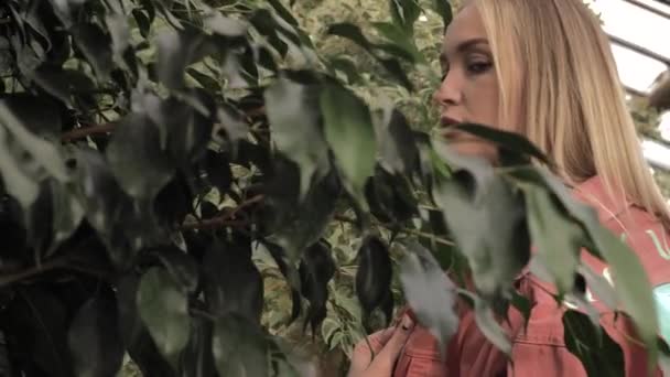 Una Giovane Bella Ragazza Bionda Guarda Furbescamente Attraverso Foglie Ficus — Video Stock