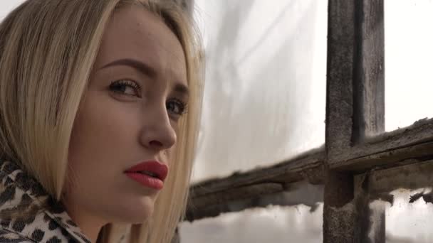 Молодая Блондинка Красными Губами Леопардовой Куртке Смотрит Камеру Стоя Окна — стоковое видео
