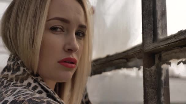 Молодая Блондинка Красными Губами Леопардовой Куртке Смотрит Камеру Стоя Окна — стоковое видео