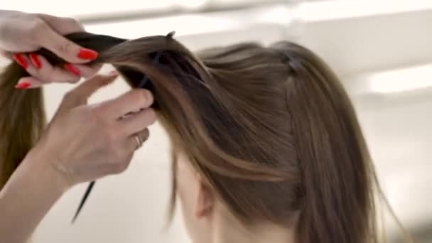 Estilista Hace Que Peinado Una Joven Hermosa Morena Caucásica Plano — Vídeos de Stock