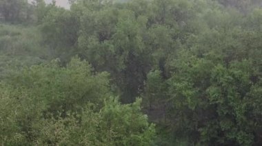 Kar yağışı ve yaz aylarında şiddetli yağmur. Arka planda yeşil ağaçlar, çimenler, patika lar var. Yukarıdan görüntüleyin. Anormal doğal fenomen. Yavaş çekim.