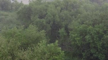 Kar yağışı ve yaz aylarında şiddetli yağmur. Arka planda yeşil ağaçlar, çimenler, patika lar var. Yukarıdan görüntüleyin. Anormal doğal fenomen. Yavaş çekim.