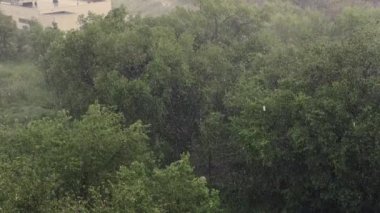 Kar yağışı ve yaz aylarında şiddetli yağmur. Arka planda yeşil ağaçlar, çimenler, patika lar var. Yukarıdan görüntüleyin. Anormal doğal fenomen. Yavaş çekim.