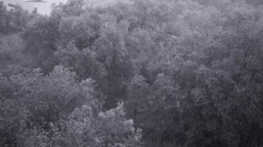 Kar yağışı ve yaz aylarında şiddetli yağmur. Arka planda yeşil ağaçlar, çimenler, patika lar var. Yukarıdan görüntüleyin. Anormal doğal fenomen. Yavaş çekim.
