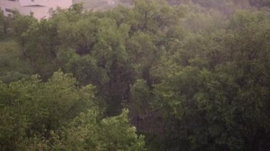 Kar yağışı ve yaz aylarında şiddetli yağmur. Arka planda yeşil ağaçlar, çimenler, patika lar var. Yukarıdan görüntüleyin. Anormal doğal fenomen. Yavaş çekim.