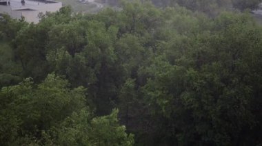 Kar yağışı ve yaz aylarında şiddetli yağmur. Arka planda yeşil ağaçlar, çimenler, patika lar var. Yukarıdan görüntüleyin. Anormal doğal fenomen. Yavaş çekim.