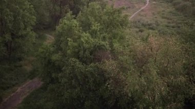 Kar yağışı ve yaz aylarında şiddetli yağmur. Arka planda yeşil ağaçlar, çimenler, patika lar var. Yukarıdan görüntüleyin. Anormal doğal fenomen. Yavaş çekim.