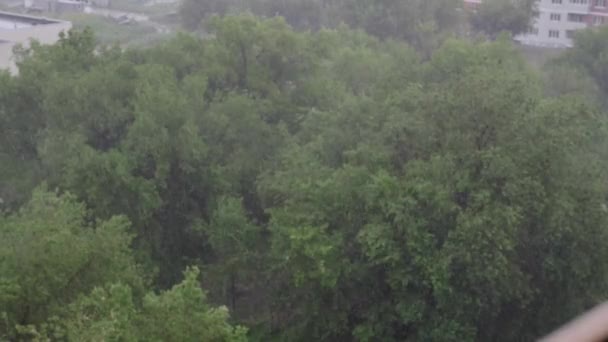 夏天有雪和大雨 背景是绿树 从上面查看 异常的自然现象 慢动作 — 图库视频影像