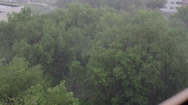 Sneeuwval Hevige Regen Zomer Achtergrond Zijn Groene Bomen Gras Pad — Stockvideo