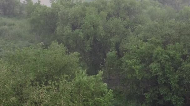 Schneefall Und Starkregen Sommer Hintergrund Grüne Bäume Gras Wege Ansicht — Stockvideo