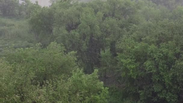 Havazás Heves Esőzések Nyár Háttérben Zöld Fák Ösvény Kilátás Fentről — Stock videók