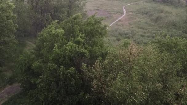 Schneefall Und Starkregen Sommer Hintergrund Grüne Bäume Gras Wege Ansicht — Stockvideo