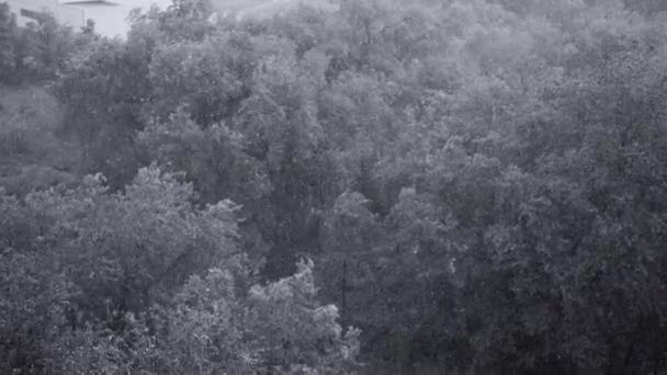 夏天有雪和大雨 背景是绿树 从上面查看 异常的自然现象 慢动作 — 图库视频影像