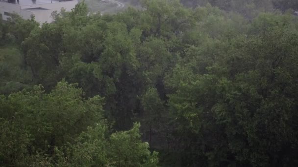 夏天有雪和大雨 背景是绿树 从上面查看 异常的自然现象 慢动作 — 图库视频影像