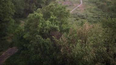 Kar yağışı ve yaz aylarında şiddetli yağmur. Arka planda yeşil ağaçlar, çimenler, patika lar var. Yukarıdan görüntüleyin. Anormal doğal fenomen. Yavaş çekim.