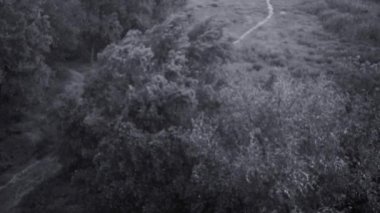 Kar yağışı ve yaz aylarında şiddetli yağmur. Arka planda yeşil ağaçlar, çimenler, patika lar var. Yukarıdan görüntüleyin. Anormal doğal fenomen. Yavaş çekim.