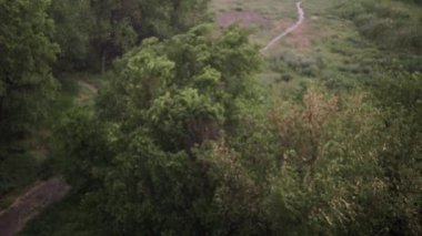 Kar yağışı ve yaz aylarında şiddetli yağmur. Arka planda yeşil ağaçlar, çimenler, patika lar var. Yukarıdan görüntüleyin. Anormal doğal fenomen. Yavaş çekim.