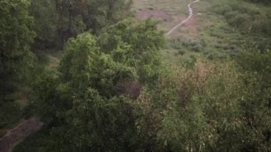 Kar yağışı ve yaz aylarında şiddetli yağmur. Arka planda yeşil ağaçlar, çimenler, patika lar var. Yukarıdan görüntüleyin. Anormal doğal fenomen. Yavaş çekim.