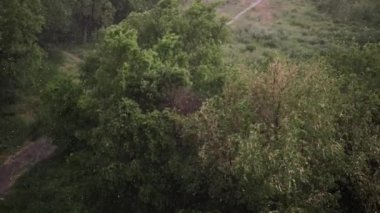 Kar yağışı ve yaz aylarında şiddetli yağmur. Arka planda yeşil ağaçlar, çimenler, patika lar var. Yukarıdan görüntüleyin. Anormal doğal fenomen. Yavaş çekim.