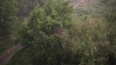 Kar yağışı ve yaz aylarında şiddetli yağmur. Arka planda yeşil ağaçlar, çimenler, patika lar var. Yukarıdan görüntüleyin. Anormal doğal fenomen. Yavaş çekim.