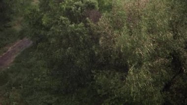 Kar yağışı ve yaz aylarında şiddetli yağmur. Arka planda yeşil ağaçlar, çimenler, patika lar var. Yukarıdan görüntüleyin. Anormal doğal fenomen. Yavaş çekim.