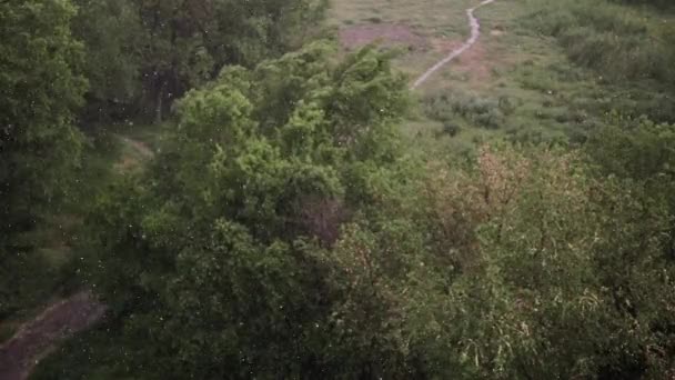 Chutes de neige et fortes pluies en été.En arrière-plan sont les arbres verts, herbe, path.View d'en haut.Anomalous phénomène naturel.Slow motion .