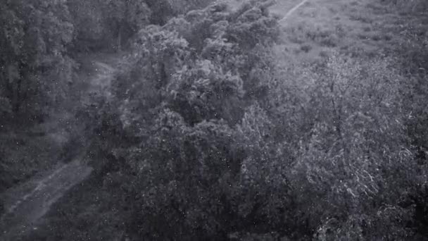 Nevadas Fuertes Lluvias Verano Fondo Hay Árboles Verdes Hierba Camino — Vídeos de Stock