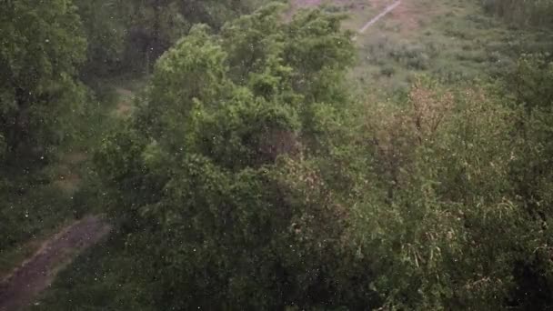 Sneeuwval Hevige Regen Zomer Achtergrond Zijn Groene Bomen Gras Pad — Stockvideo