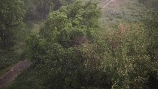 Snowfall Heavy Rain Summer Background Green Trees Grass Path View — Stock Video