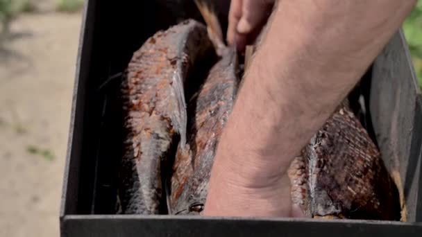 Man Pulls Out Smokehouse Ready Eat Fish Close Summer — Stock Video