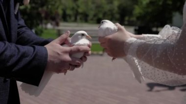 Gelin ve damadın elleri beyaz güvercinleri tutuyor. Güneşli bir yaz günü. Yakın plan..