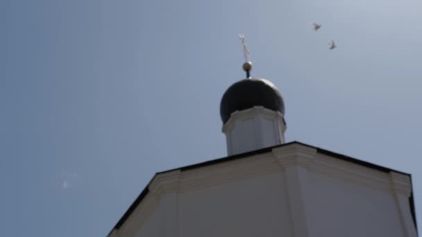 2羽の白い鳩が正教会のドームの近くを飛ぶ 彼らはボケでオフになります 夏の晴れた日 動画クリップ