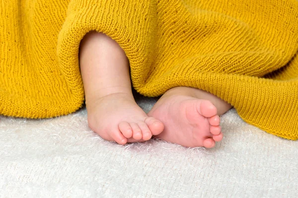 갓 태어난 아기 의발을 가까이 서 본 모습 — 스톡 사진
