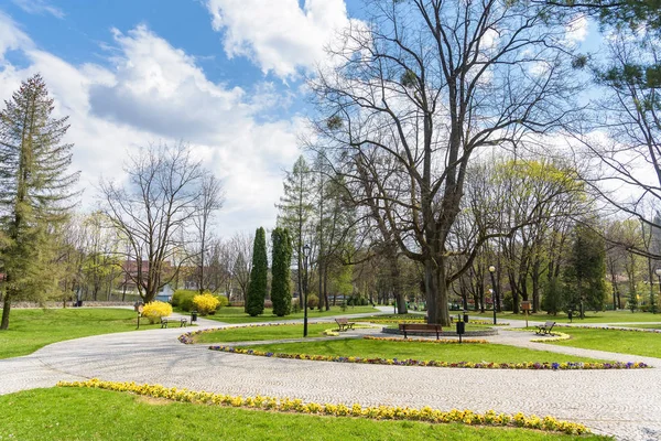 Widok na Park Kopczyński w Wisli — Zdjęcie stockowe