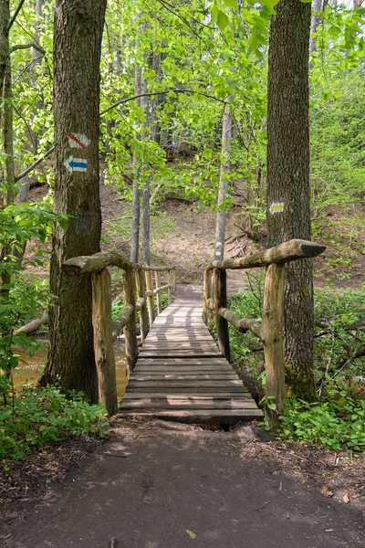 Wooden bridge on the Tanew river in nature reserve Nad Tanwia — 스톡 사진