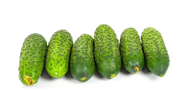 新鲜黄瓜排成一排 — 图库照片