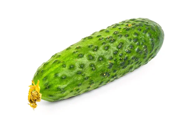 白色背景上的单鲜黄瓜 — 图库照片