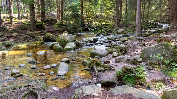 Szklarka rivier in een woud in Reuzengebergte — Stockfoto