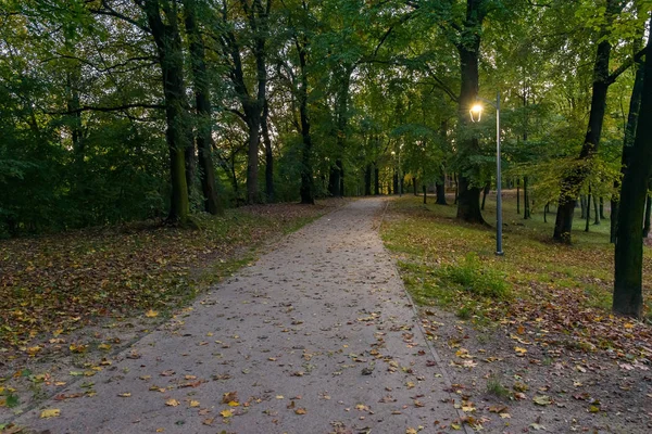 Večerní pohled na uličku v parku na podzim — Stock fotografie