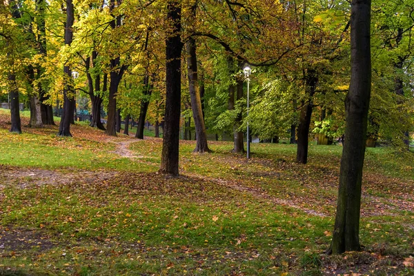 Wieczorny widok na park jesienią — Zdjęcie stockowe