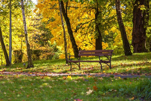 Kleurrijke zonnige herfst in een park — Stockfoto