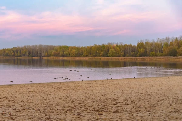 Вечерний осенний пейзаж озера Погория III — стоковое фото