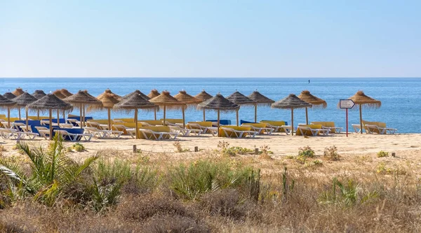 Straw Umbrellas Sunbeds Beach Vilamoura Algarve Portugal — Stock Photo, Image